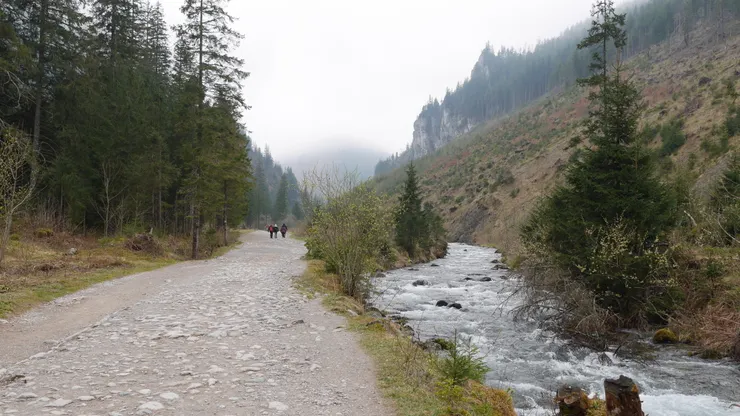 後面就開始變成石頭路了，然後小溪會一直陪伴在你旁邊
