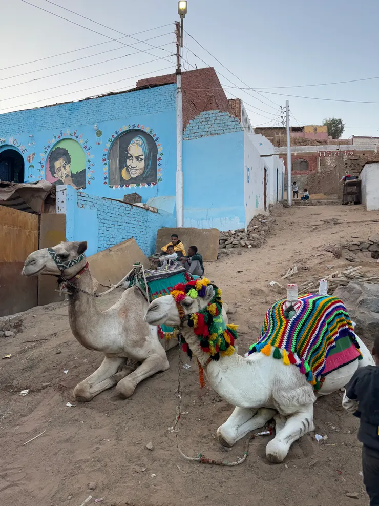 街上也會看到有人騎著駱駝移動，看來在當地還是相當常見的交通工具。