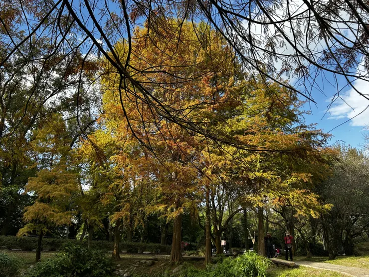 石門水庫溪洲公園