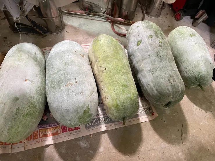 冬瓜冬瓜冬瓜冬瓜冬瓜