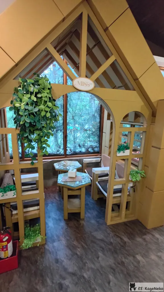 MISS糸式咖啡室內座位