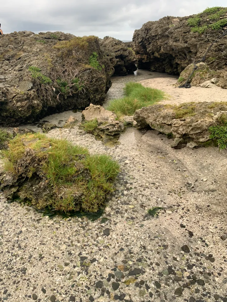 礁岩地形雖無過分的高低起伏，但仍要小心留意腳步