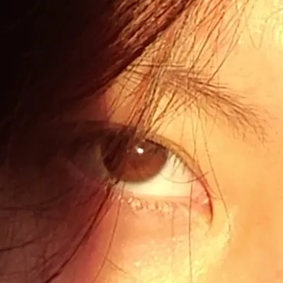 無病呻吟的瘋子的沙龍