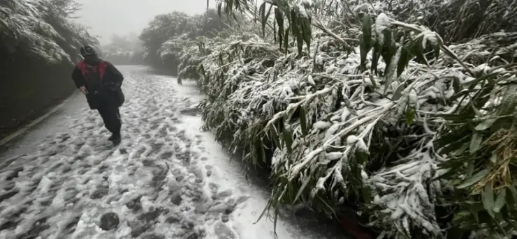  大屯山降雪 / 取自：中央社