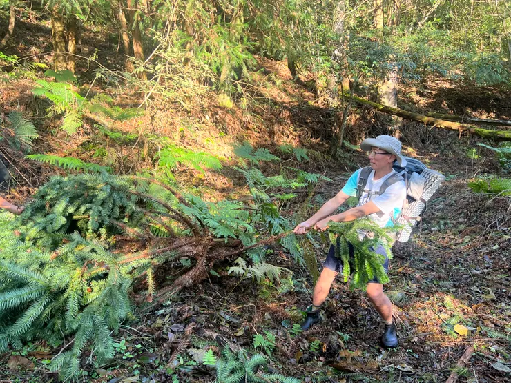 掌握方式之一 清除路障