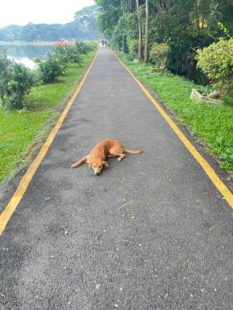 茵雅湖步道(左)，往Marina Residence方向