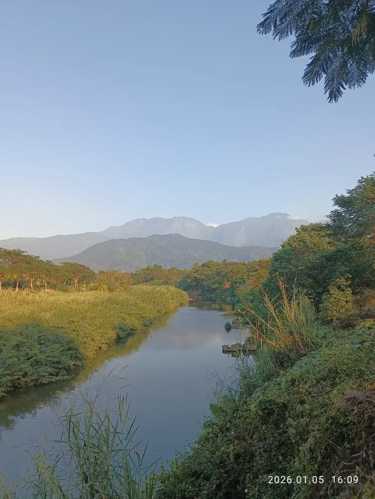 流水潺潺魚貪歡
