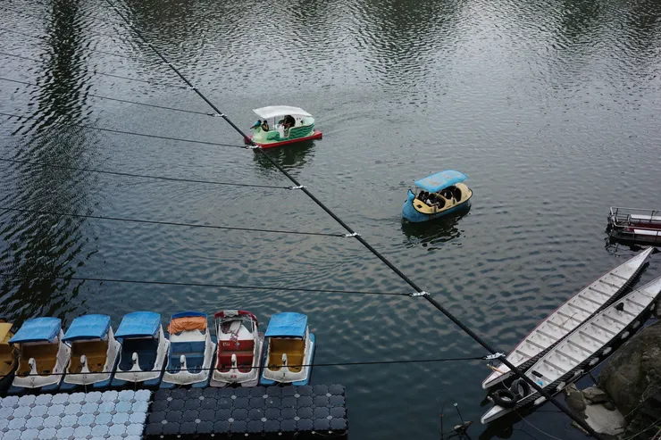 雖然我們的速度不同，卻依然在同一片海上