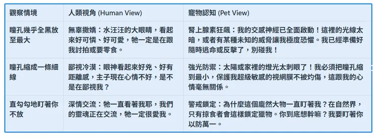 【瞳孔縮放與情緒讀心術：一場關於「可愛」與「緊繃」的視覺翻譯對照表】