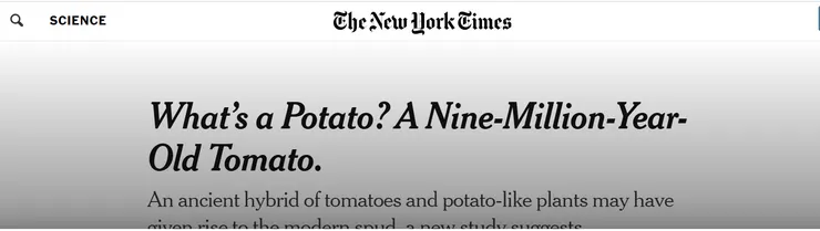 圖片取自紐約時報網站