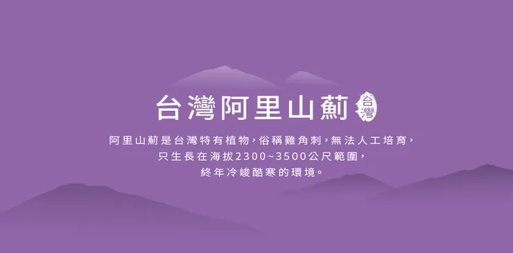 可染品牌設計作品