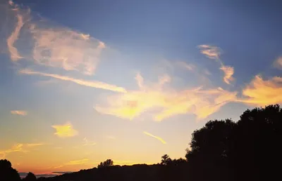 天使訊息｜給星星的孩子們 