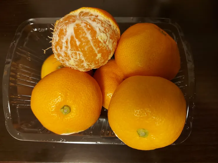 四國是柑橘種區，柑橘品種很多