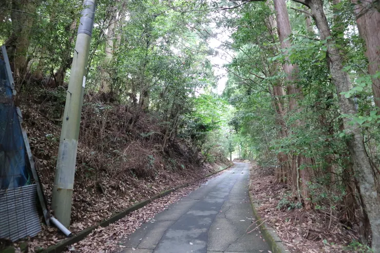 上山一路上都沒有遇到其他人，路上都還有青苔