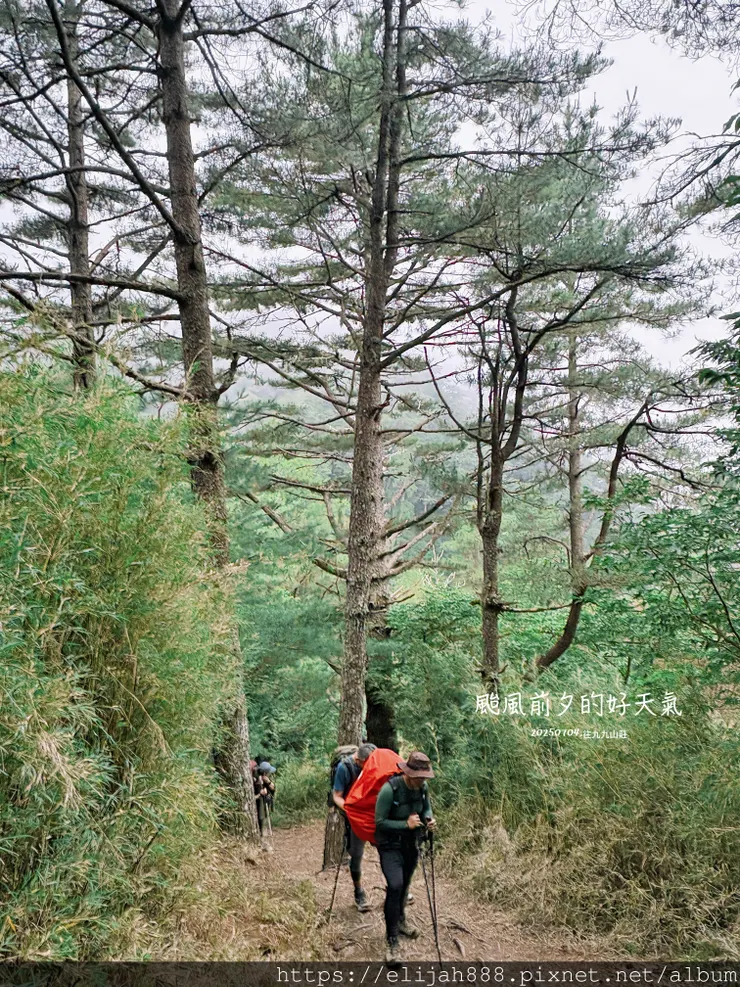 【大霸群峰4百岳。兩天一夜】觀霧大鹿林道東線騎越野單車/馬達