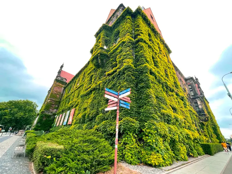 poland shot by Emma @ 06/2024.