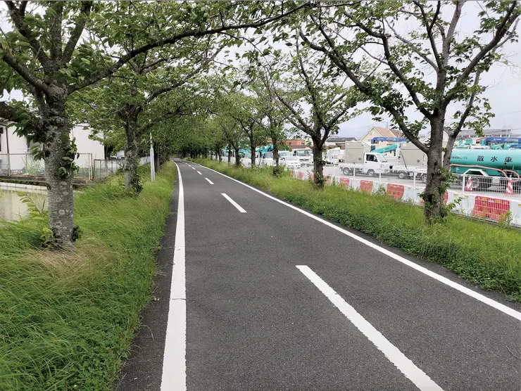 ▲規劃佳的佐賀郊區腳踏車專用道。