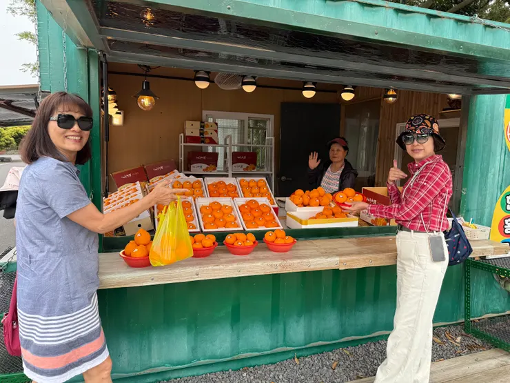 在濟州島就是要吃橘子