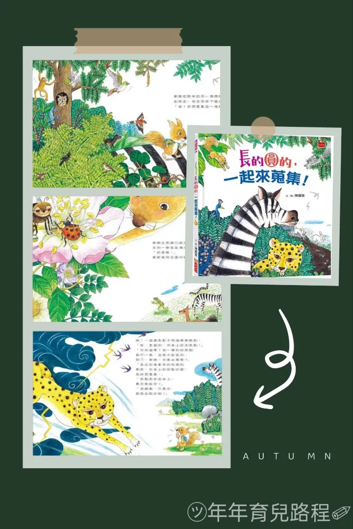 陳麗雅-長的圓的,一起來蒐集