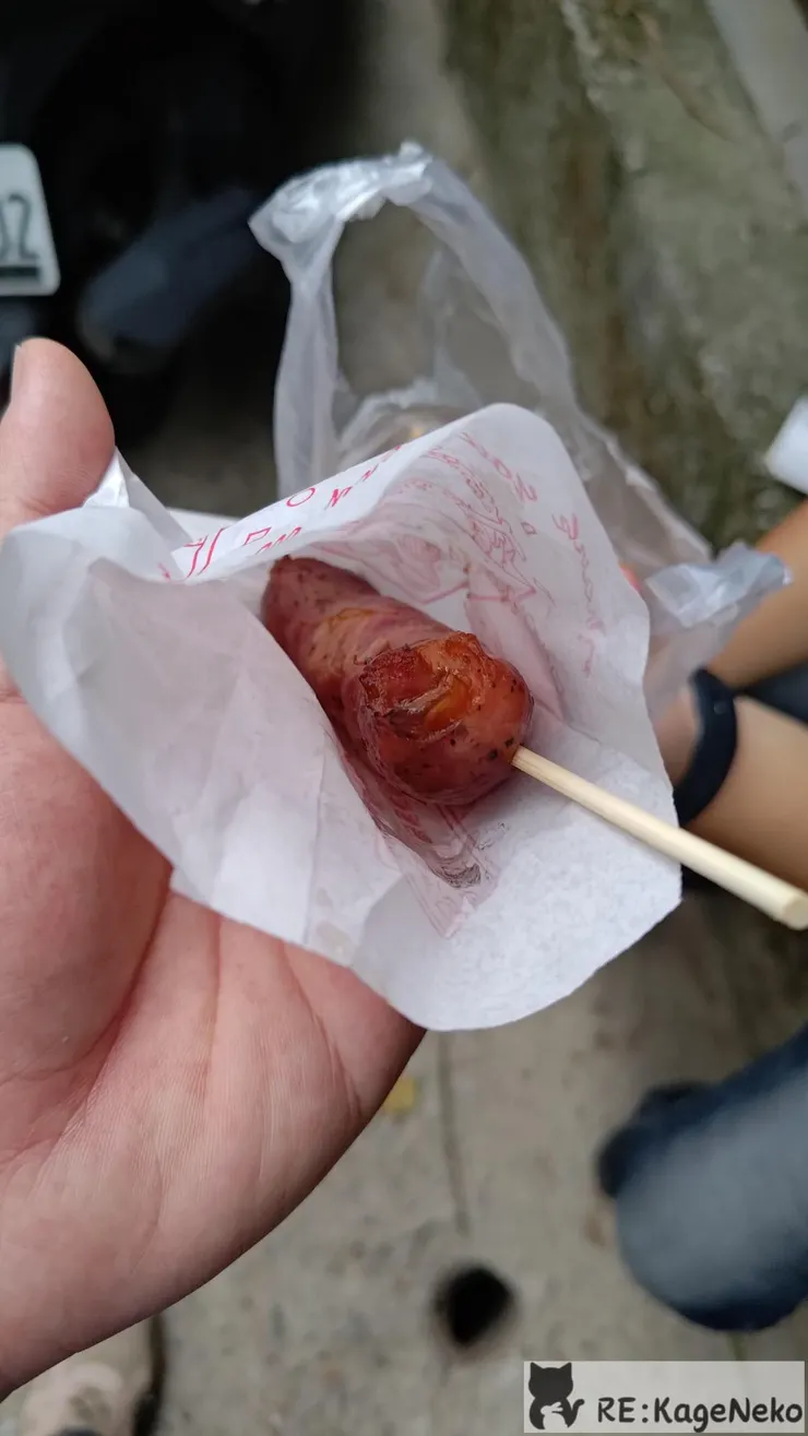 阿婆杏鮑菇