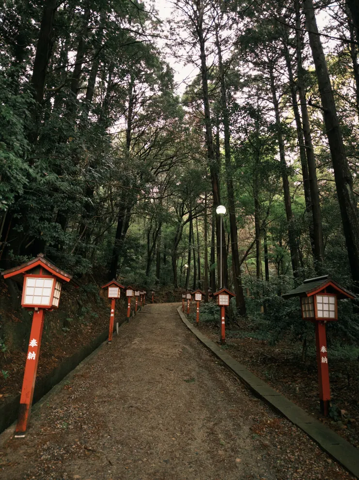 森林步道🌲