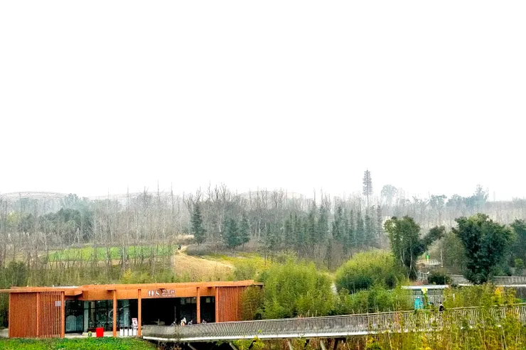 景致優美的熊貓溪谷區