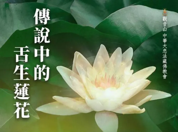 念妙法蓮華經感應~舌生蓮花