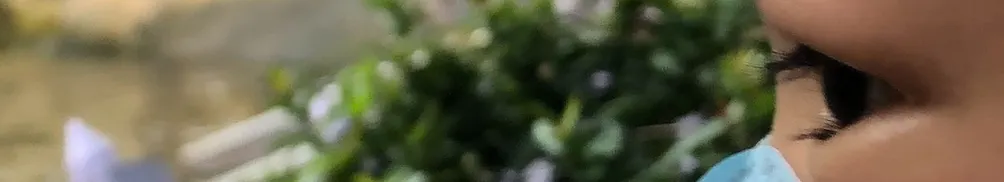 小姐的書桌｜晶日晴