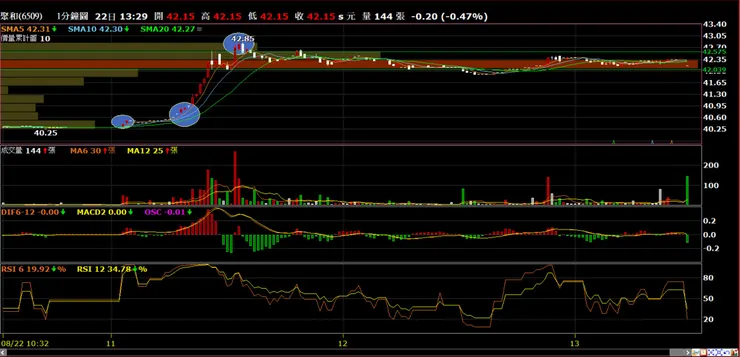 聚和(6509)分時量價