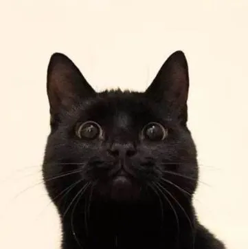 Sophie’s trivia.的沙龍