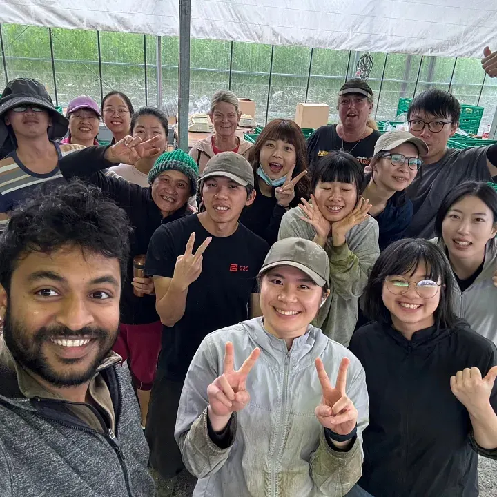 番茄廠最多員工的夏季，與淡季的現在兩樣情