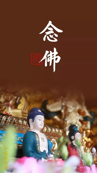 專心持念「阿彌陀佛」萬德洪名，期生淨土