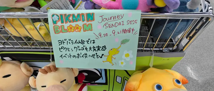 在友都八喜看到的