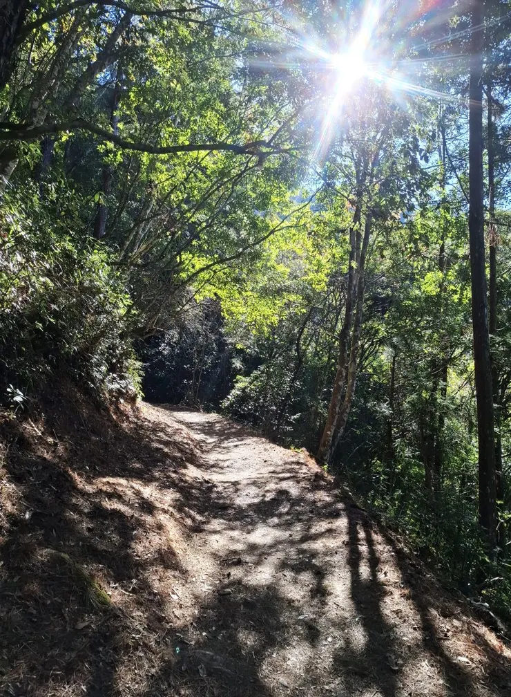 當天山下雖然陰雨天，但山上卻是給我們一個大太陽