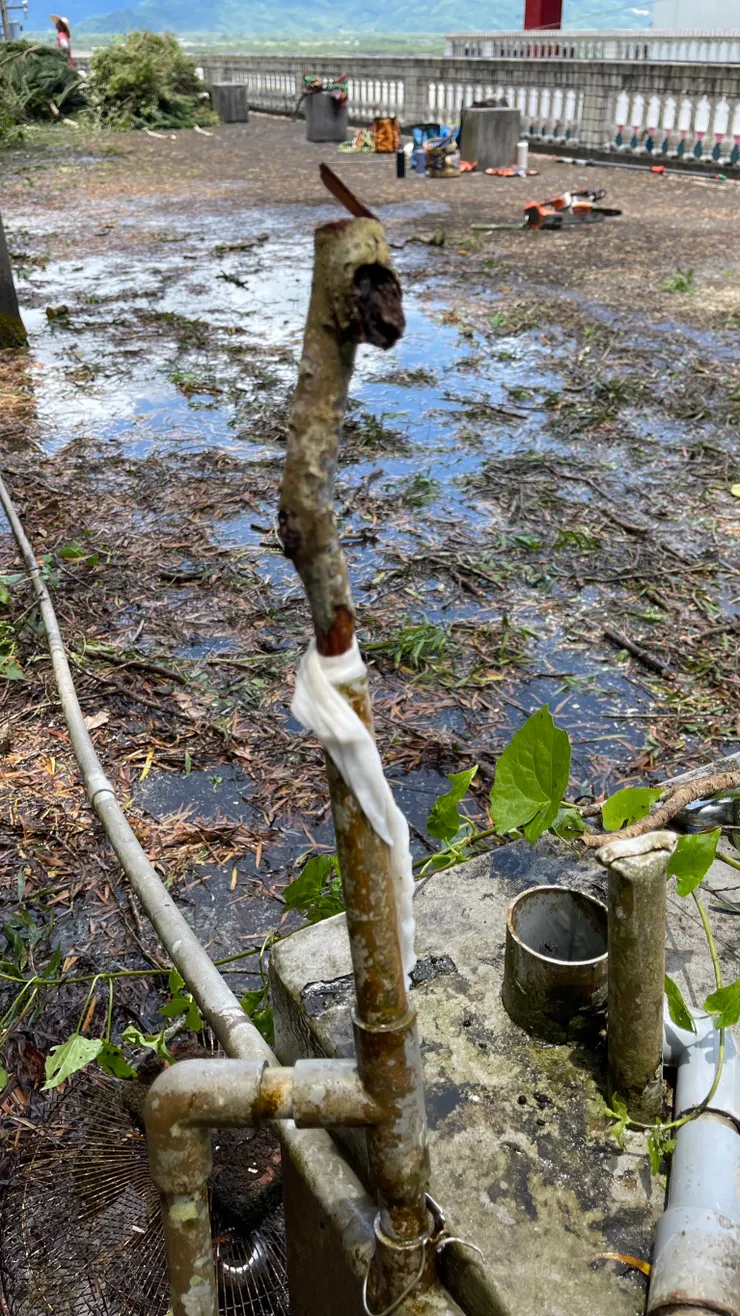 不得不說真是太厲害了