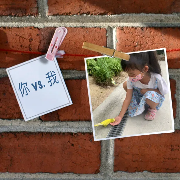 你看見的，不等於是我心裡想的。