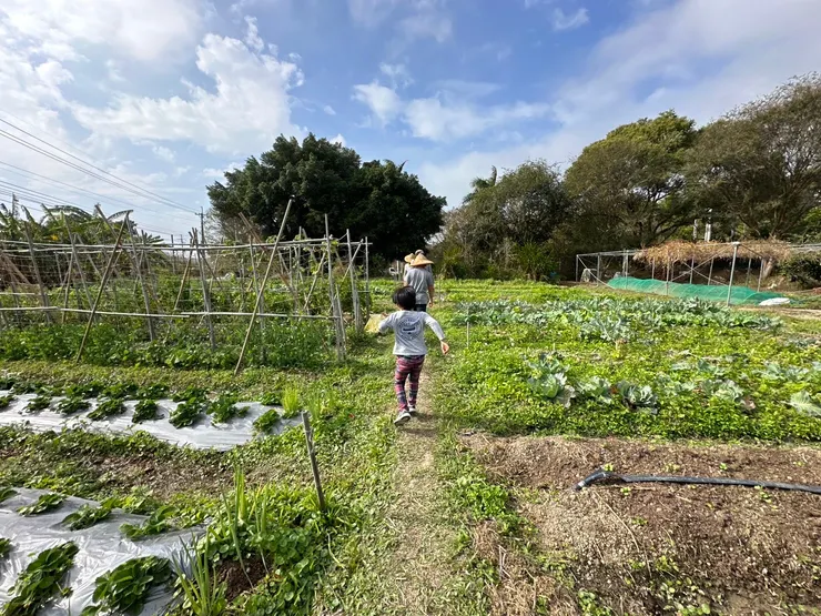 在田園裡野炊是不可多得的滋味。