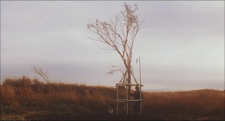 50.《超凡神樹》（カリスマ，1999）🇯🇵