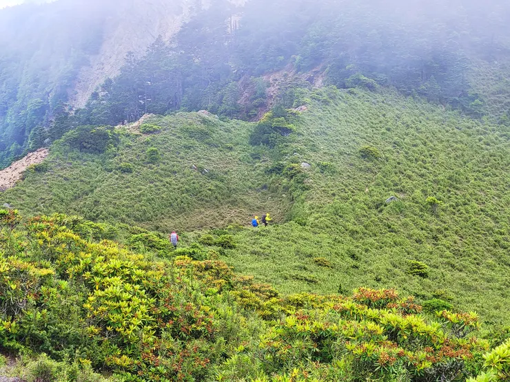 ▲到達奇峻山下營地前還有一段另人崩潰爬升路段（陡升約150公尺)。
