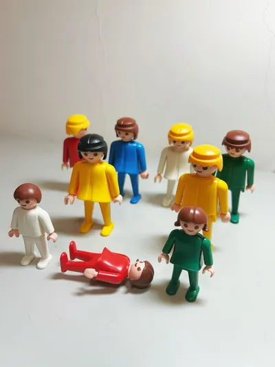 生命關係五大法則，連載 ④