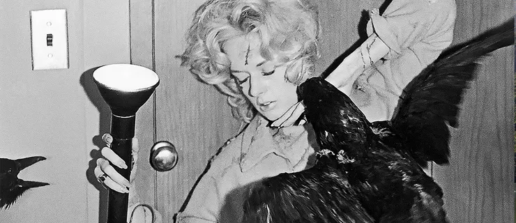 《鳥》蒂比.海德倫