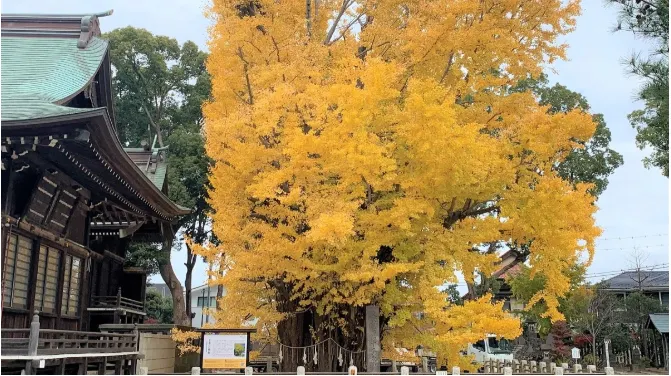 此圖取自 https://news.yahoo.co.jp/expert/articles/10dc97df118bf5060764b330a80355a73271a3c3