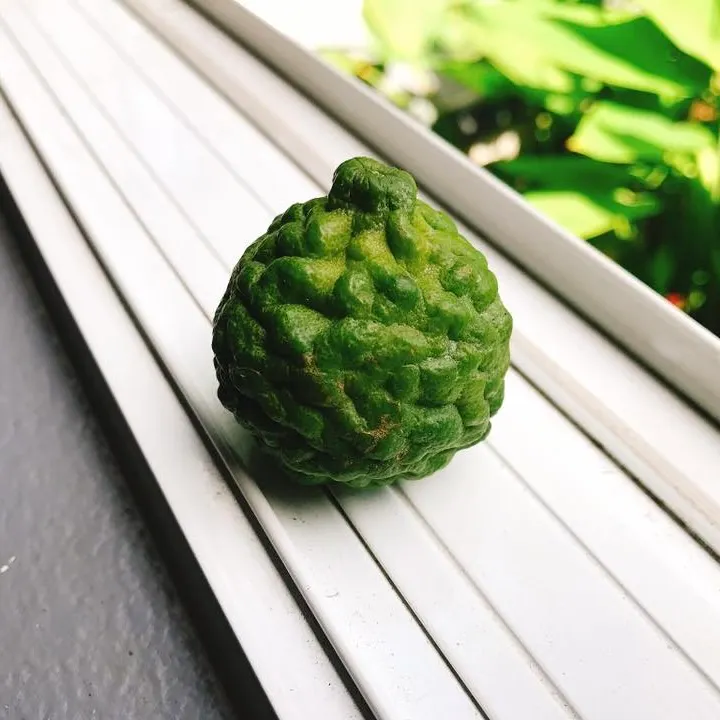 卡菲萊姆檸檬，又叫瘋柑，葉及皮常用在料理，臺灣很少人種