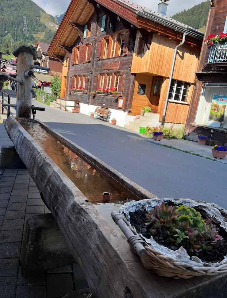 請不要客氣，請放心喝的泉水