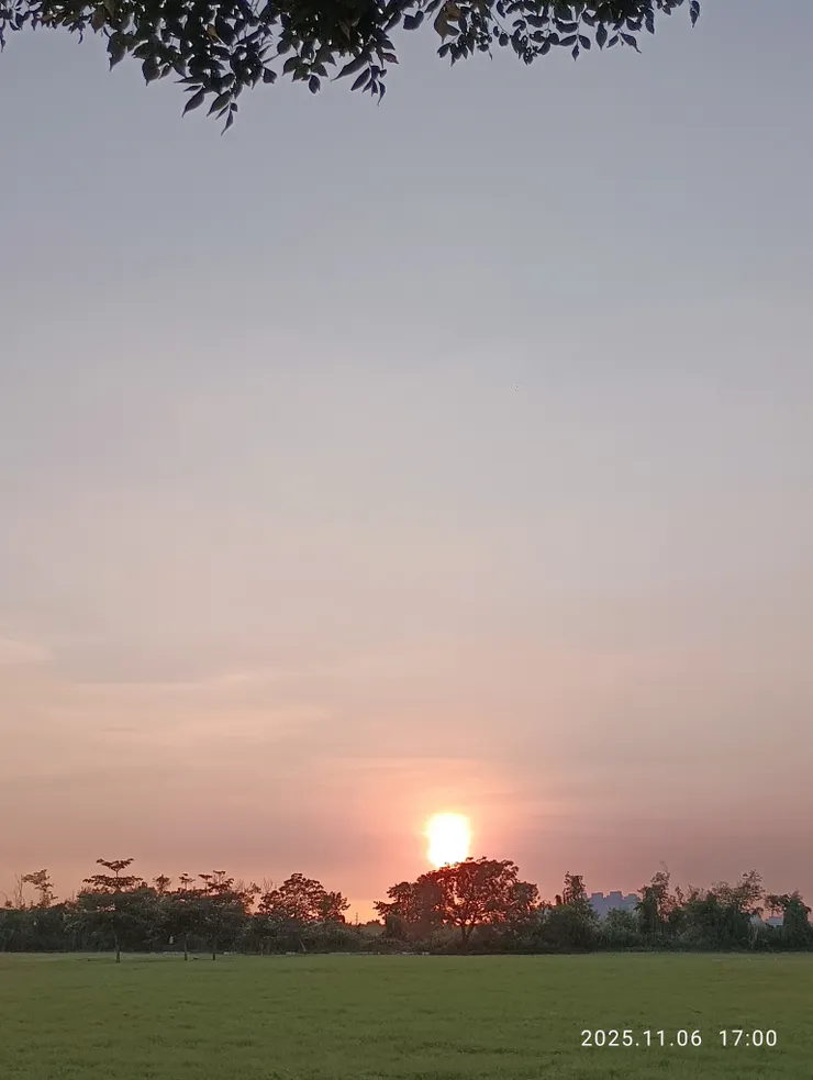 斜陽暮萬花織愁