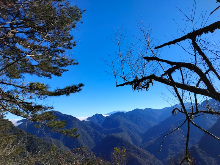 司馬庫斯的大山鄰居們