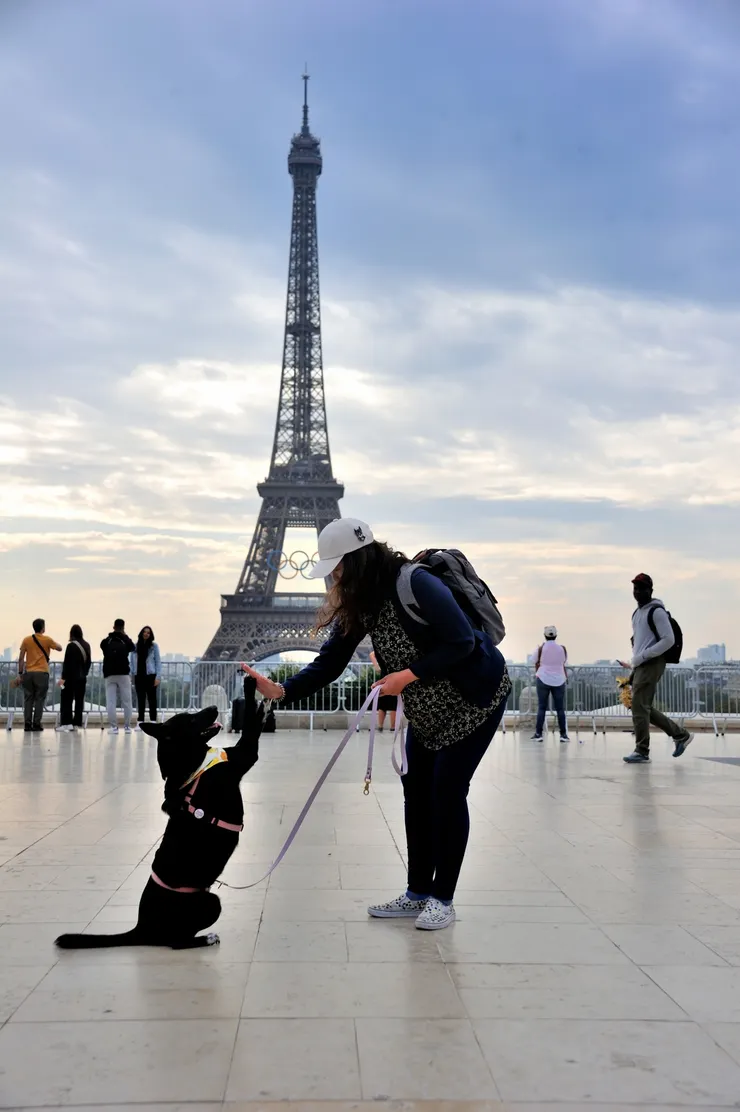 【如今我們仍看不清現在與未來 且陪侄女圓夢帶阿肥來走一遭】