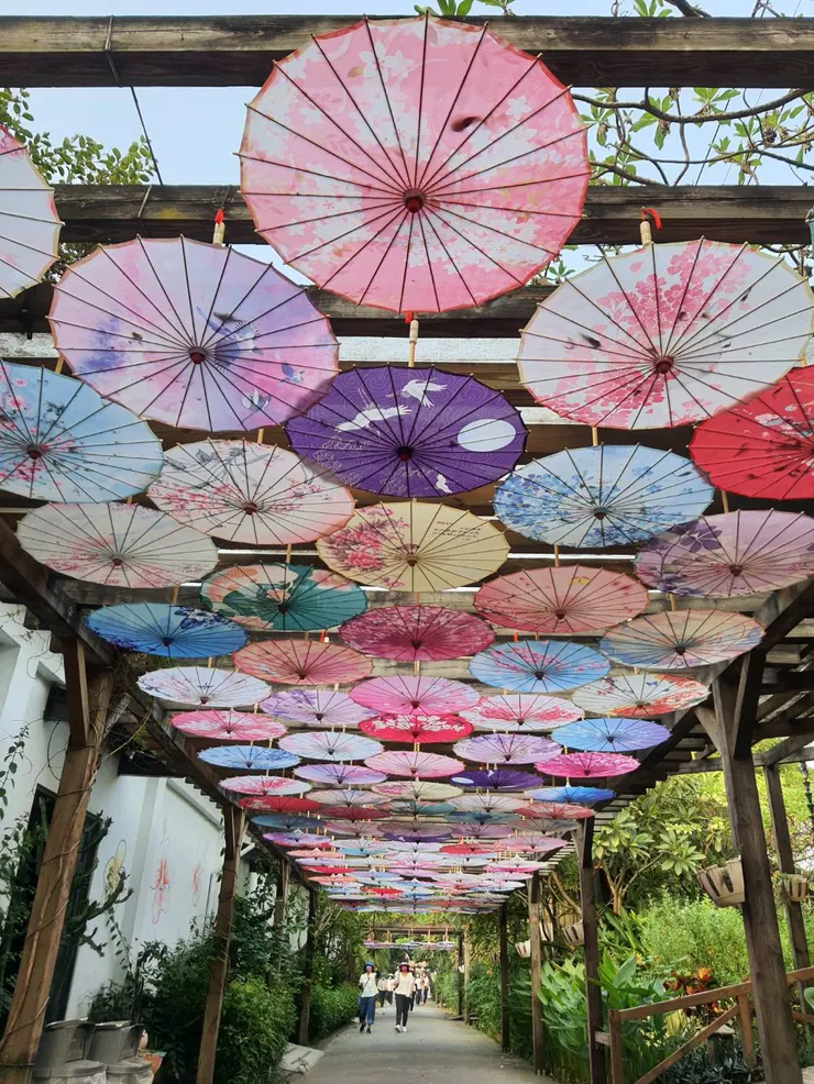 網路轉載