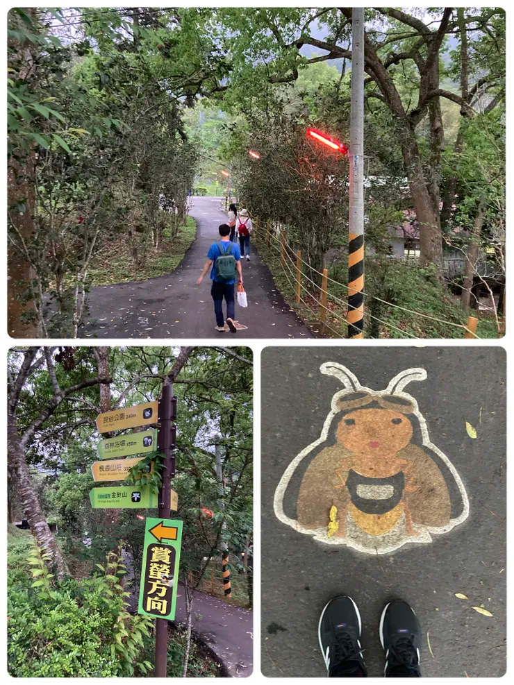 園內路燈也用紅色玻璃紙套住,準備晚上賞螢!