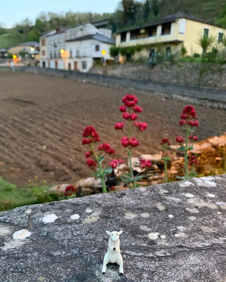 圖一:從農地前出發